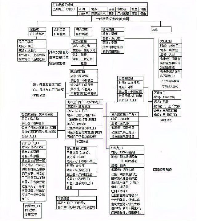 錦鯉樓蘭多少錢一條