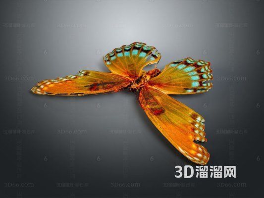 彩蝶和冠鱗哪個(gè)檔次高