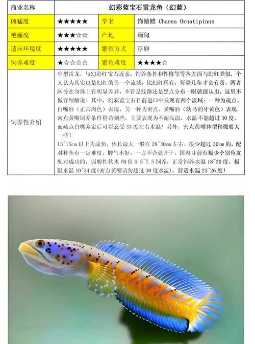雷龍魚有多少種品種圖片大全