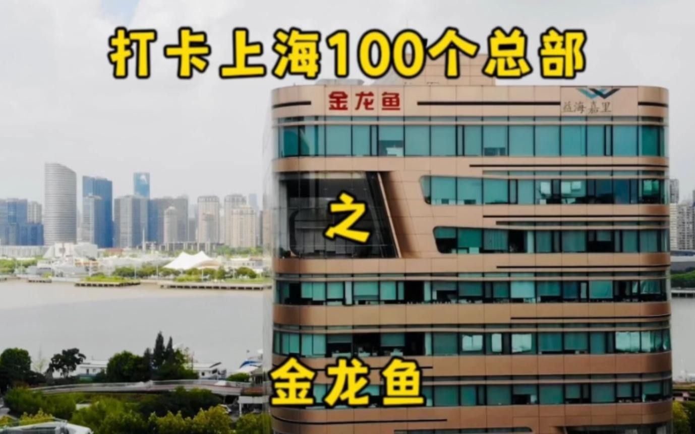 金龍魚高端系列有哪些產(chǎn)品？