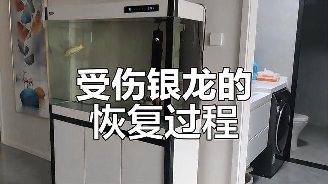 被銀龍魚咬了需要打狂犬疫苗嗎