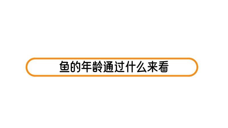 如何判斷綠皮紅龍魚是否成年？