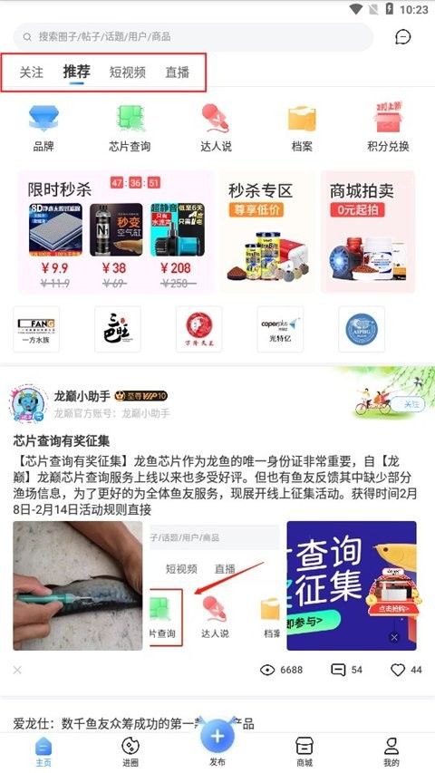 龍魚之巔app龍魚之巔app下載蘋果版（龍巔觀賞魚app下載）