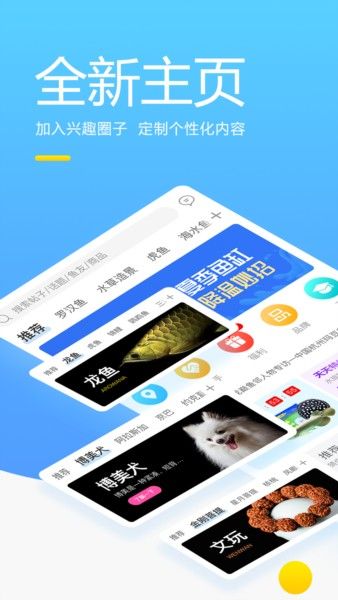 龍魚之巔app龍魚之巔app下載蘋果版（龍巔觀賞魚app下載）
