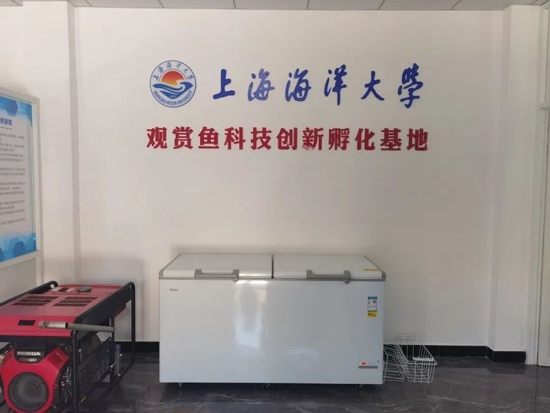 龍魚養殖基地圖片高清