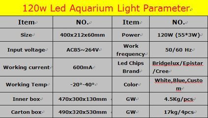 水族燈最佳照明時間設置（水族燈的照明時間設置對于保持水族箱內生態平衡至關重要）