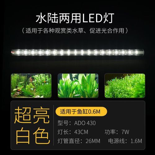森森LED燈哪個型號性價比最高？