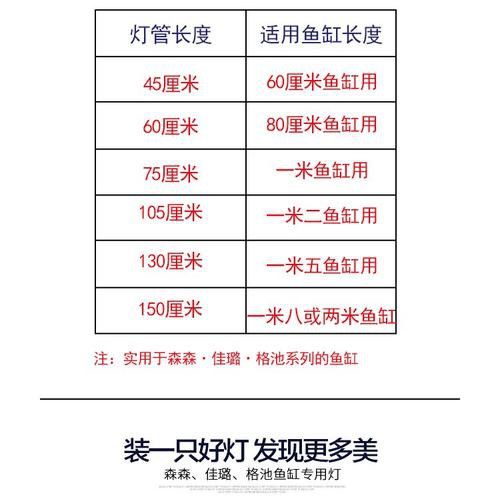 森森LED燈哪個型號性價比最高？