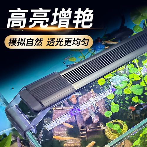 森森LED燈哪個型號性價比最高？