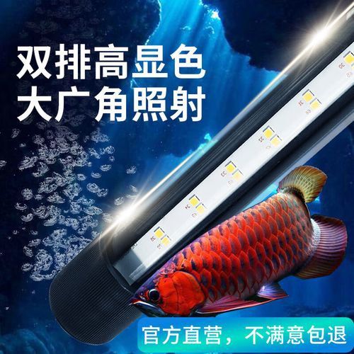 森森LED燈哪個型號性價比最高？