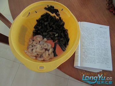 龍魚拔鱗片干嘛【治療受傷或腐爛的鱗片，龍魚拔鱗片手術時需要注意以下幾點】