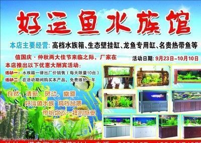 龍魚(yú)缸哪個(gè)牌子性價(jià)比高又好用：龍魚(yú)缸哪個(gè)品牌好