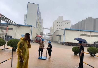 鄭州金龍魚掛面廠招聘信息(鄭州金龍魚掛面廠招聘信息有哪些?) 龍魚百科 第5張 鄭州金龍魚掛面廠招聘信息(鄭州金龍魚掛面廠招聘信息有哪些?) 鄭州金龍魚掛面廠招聘信息(鄭州金龍魚掛面廠招聘信息有哪些?) 龍魚百科 第5張