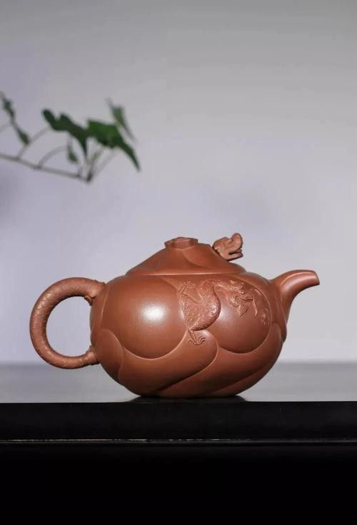 給我推薦幾款性價比高的魚化龍紫砂壺 龍魚百科 第3張 給我推薦幾款性價比高的魚化龍紫砂壺 給我推薦幾款性價比高的魚化龍紫砂壺 龍魚百科 第3張