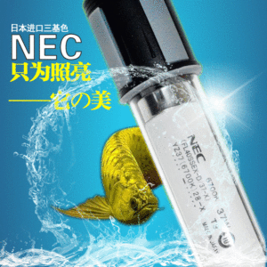 關于龍魚發色的問題：nec燈光對龍魚發色有幫助龍魚發色有幫助嗎