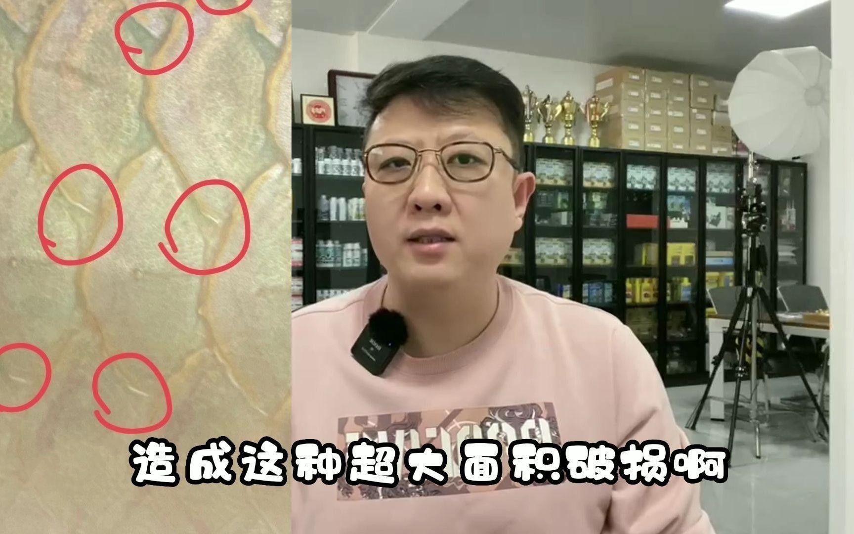 如何治療龍魚的鱗片損傷？