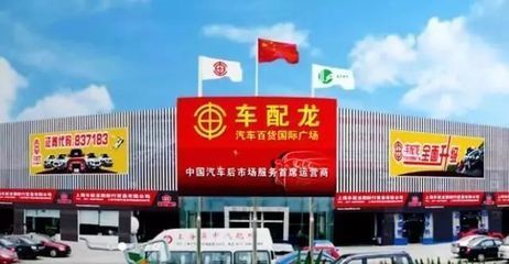 廣州龍魚魚批發市場（廣州龍魚魚批發市場價格）