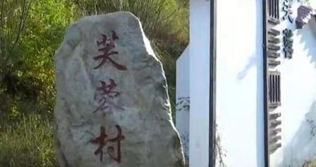 喂龍魚吃的小紅魚怎么養的好：喂龍魚吃的小紅魚怎么養的
