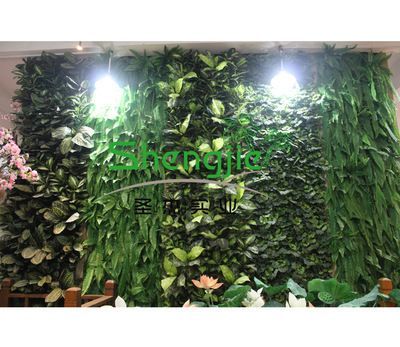 廣州植物墻設(shè)計公司首選祥龍魚場（廣州植物墻設(shè)計公司祥龍魚場植物墻設(shè)計案例廣州植物墻設(shè)計公司）