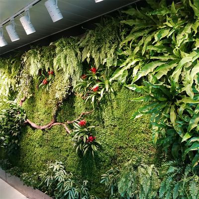 廣州植物墻設(shè)計公司首選祥龍魚場（廣州植物墻設(shè)計公司祥龍魚場植物墻設(shè)計案例廣州植物墻設(shè)計公司）