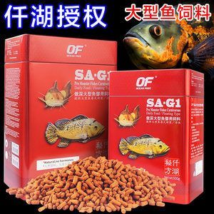 金龍魚吃多少飼料合適：金魚一天要喂多少飼料，喂太多會怎么樣