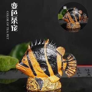 金龍魚變色的階段有哪些：金龍魚變色的幾個關鍵階段
