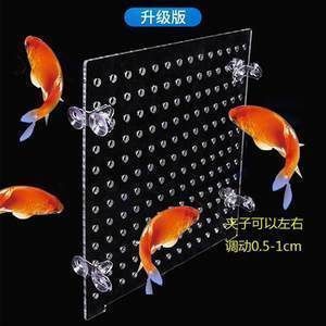 紅龍魚苗價格（紅龍魚苗價格受到多種因素影響，）