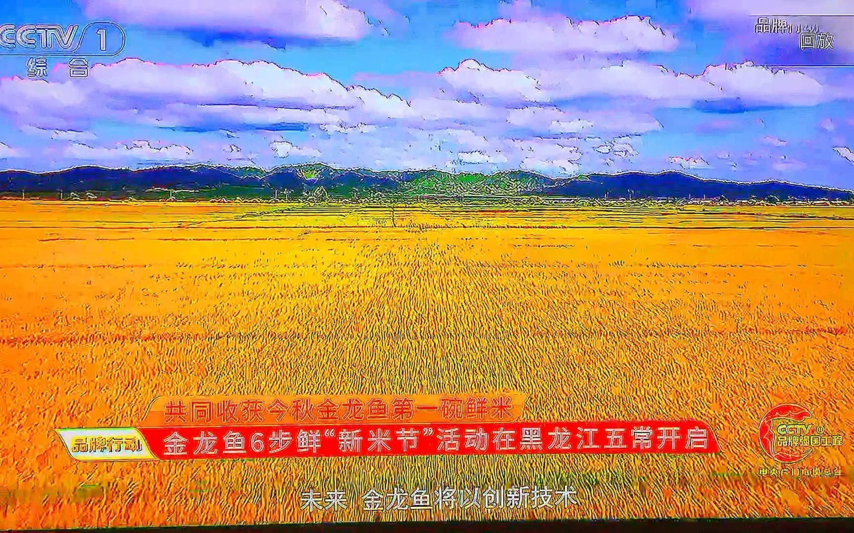 金龍魚品牌還有哪些其他促銷活動？