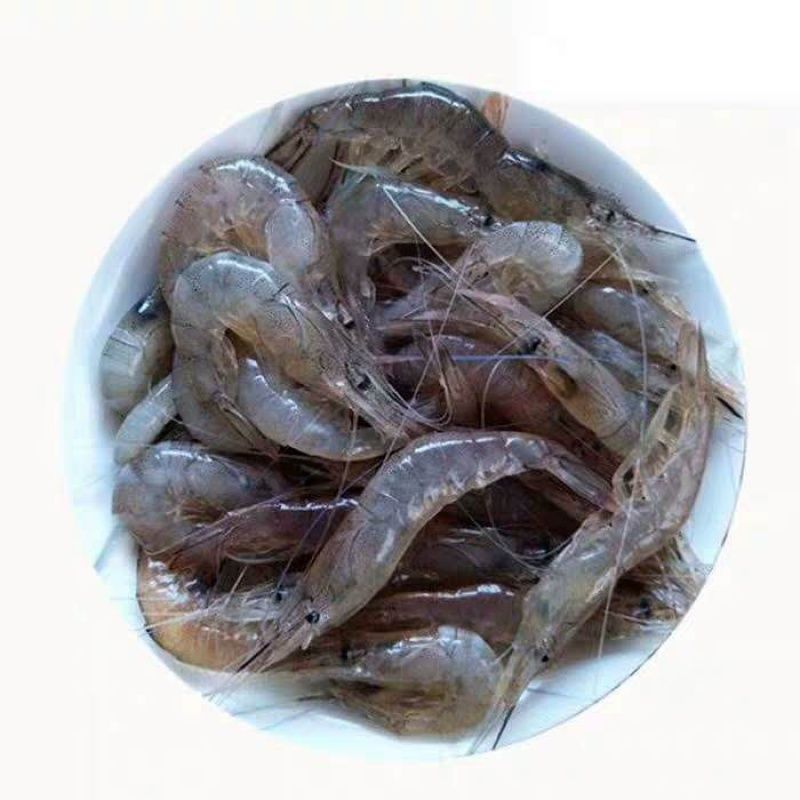 龍魚一頓吃多少凍蝦（龍魚一頓吃多少凍蝦的直接答案可以嘗試通過以下渠道獲取信息）