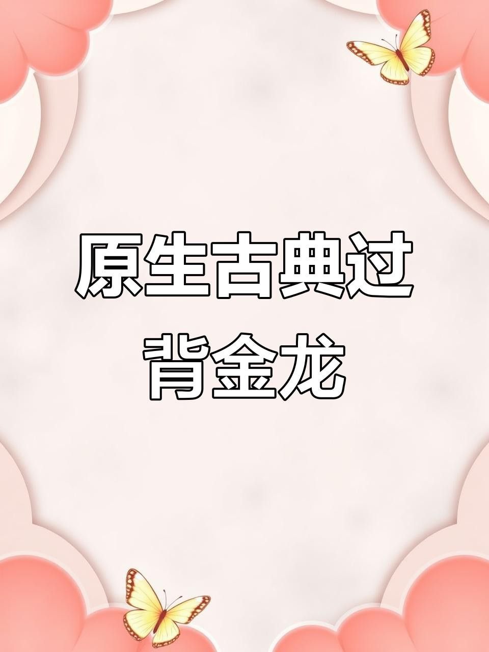 過背金龍和B過背哪個(gè)更值得養(yǎng)