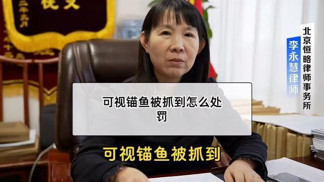錨魚被派出所抓了怎么辦 錨魚被派出所抓了怎么辦 龍魚百科 第1張