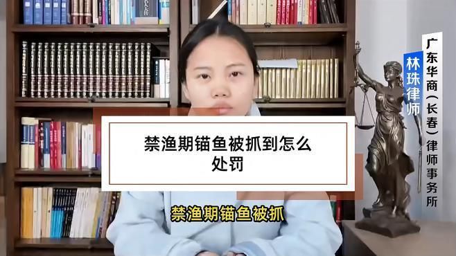錨魚被派出所抓了怎么辦 錨魚被派出所抓了怎么辦 龍魚百科 第2張