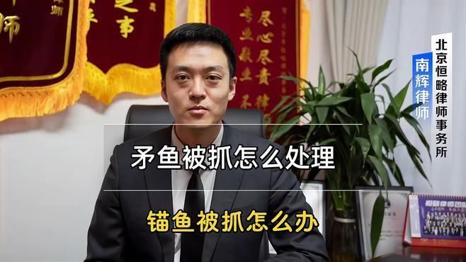 錨魚被派出所抓了怎么辦 錨魚被派出所抓了怎么辦 龍魚百科 第6張