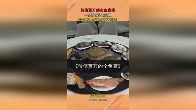 金龍魚的價格及圖片視頻