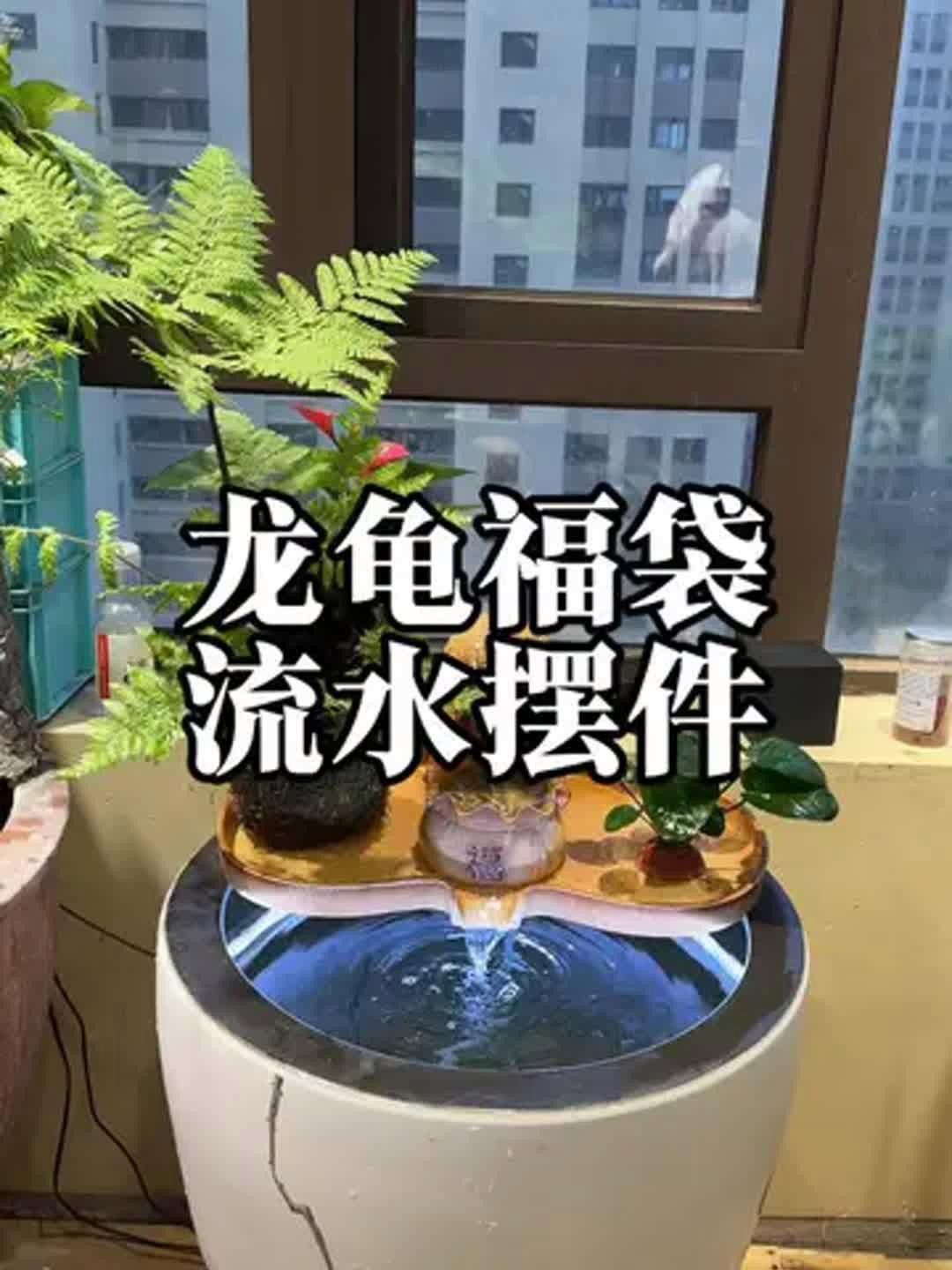 哪種材質的龍龜最適合魚缸？