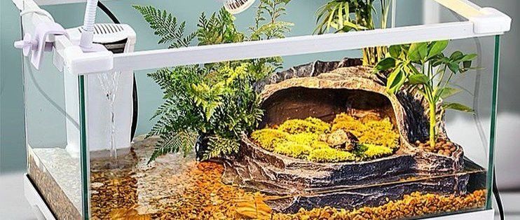 哪種材質的龍龜最適合魚缸？