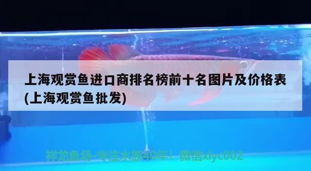 如何監(jiān)測龍魚水質(zhì)變化：如何監(jiān)測龍魚水質(zhì)的變化