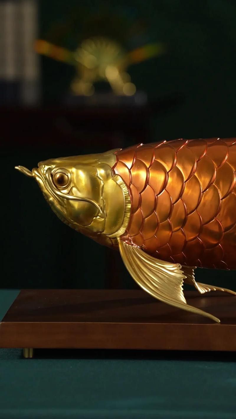 金龍魚吉祥物圖片