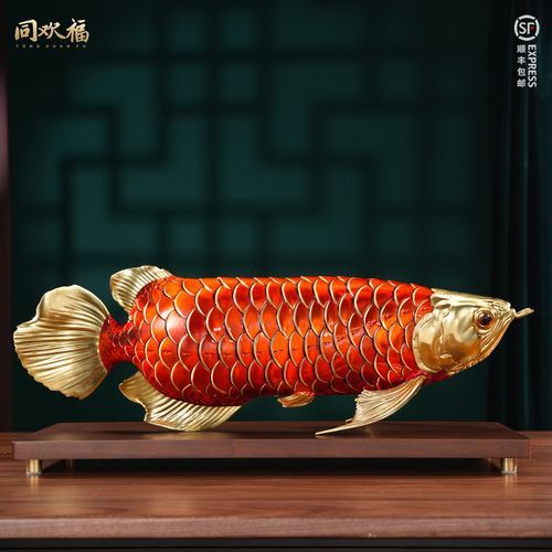 金龍魚吉祥物圖片