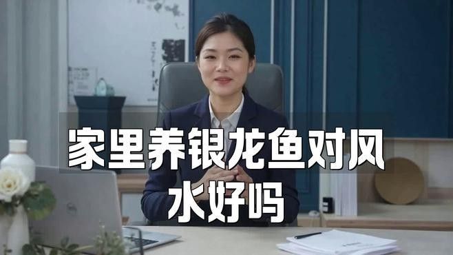 銀龍魚養(yǎng)幾條好？養(yǎng)龍有什么講究？