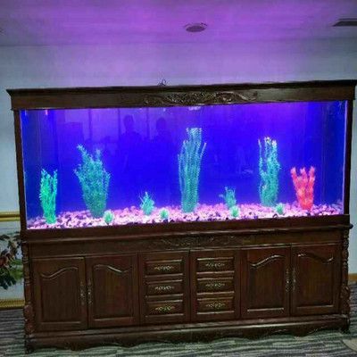 紅龍魚最小魚缸尺寸是多少，紅龍魚的最小魚缸尺寸