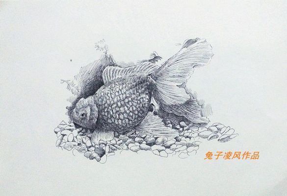 龍魚繪畫取名大全，龍魚繪畫取名大全涵蓋了多種風格和主題