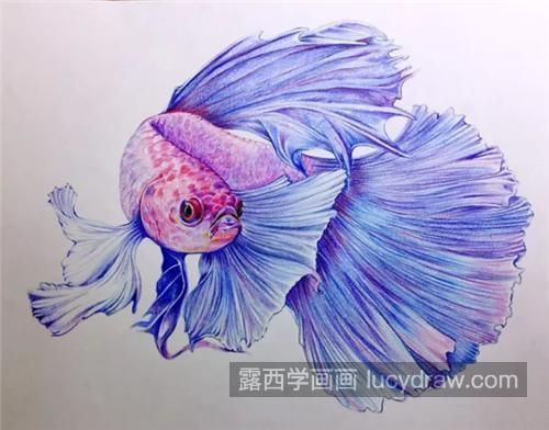 龍魚繪畫取名大全，龍魚繪畫取名大全涵蓋了多種風格和主題