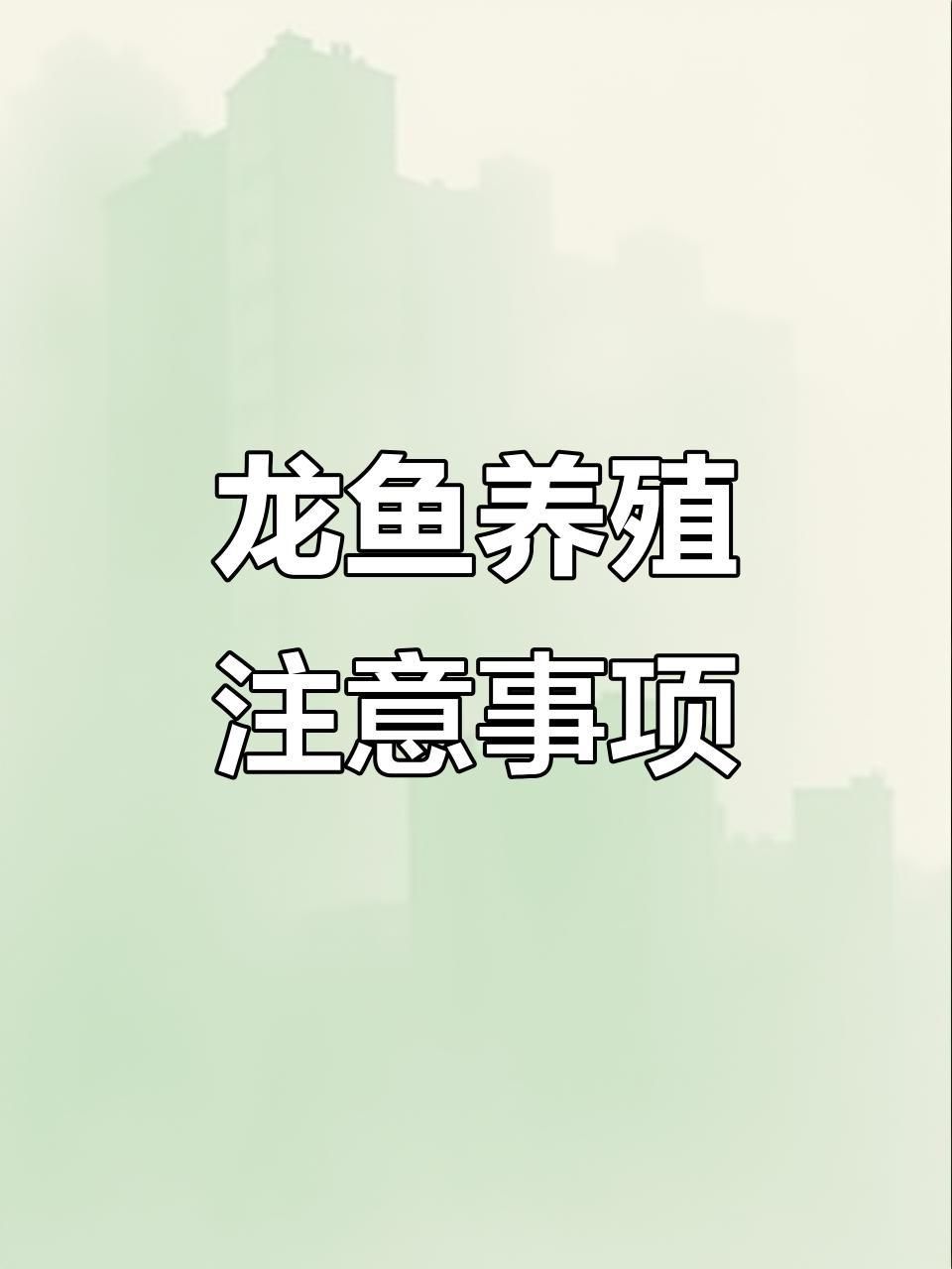 龍魚(yú)背高背最忌三種東西