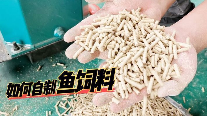 如何自制金三間魚植物飼料：自制金三間魚植物飼料營養(yǎng)搭配指南