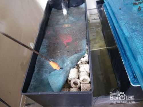 龍魚缸過濾棉多久洗一次好：龍魚缸過濾棉清洗技巧，魚缸過濾棉材質選擇指南 龍魚缸過濾棉多久洗一次好：龍魚缸過濾棉清洗技巧，魚缸過濾棉材質選擇指南 龍魚百科 第3張