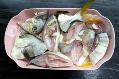 金龍魚身子斜什么原因【金龍魚身子斜什么原因導致金龍魚身子斜什么原因】