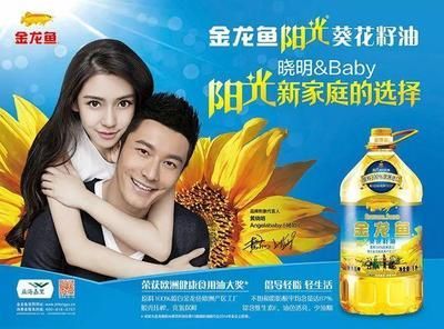 金龍魚代言過的明星是誰（金龍魚代言過的部分明星高圓圓為其品牌代言人開啟新一輪品牌升級）