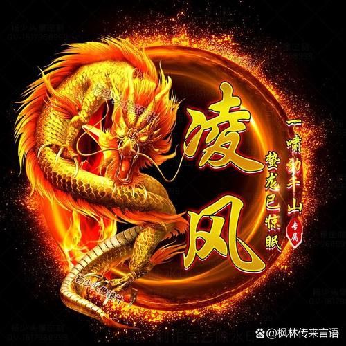 有沒有高清透明的金龍頭像？
