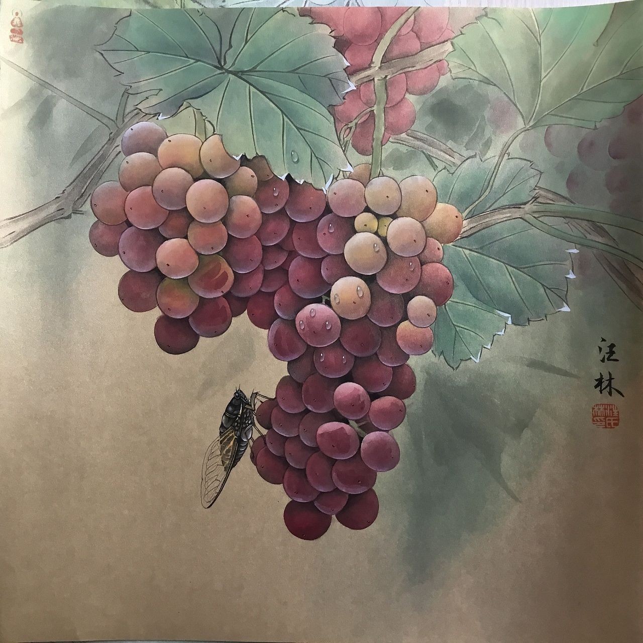 龍魚是否可以吃葡萄（龍魚在緊急情況下會吃葡萄嗎？）